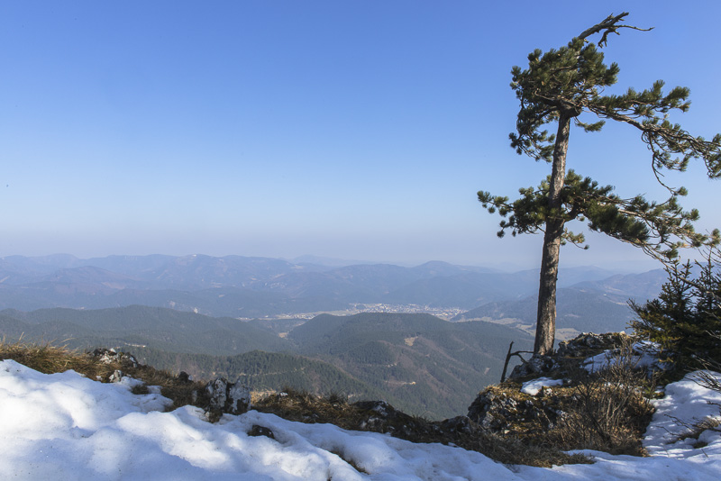 Dürre Wand 18.3.2015